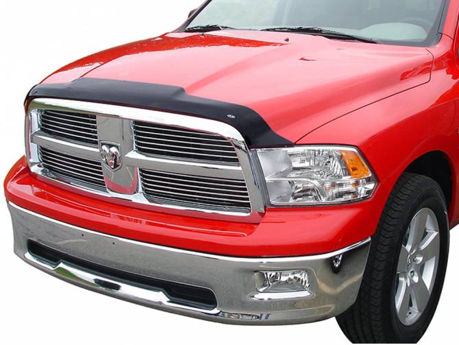 AVS AeroSkin Bug Shield