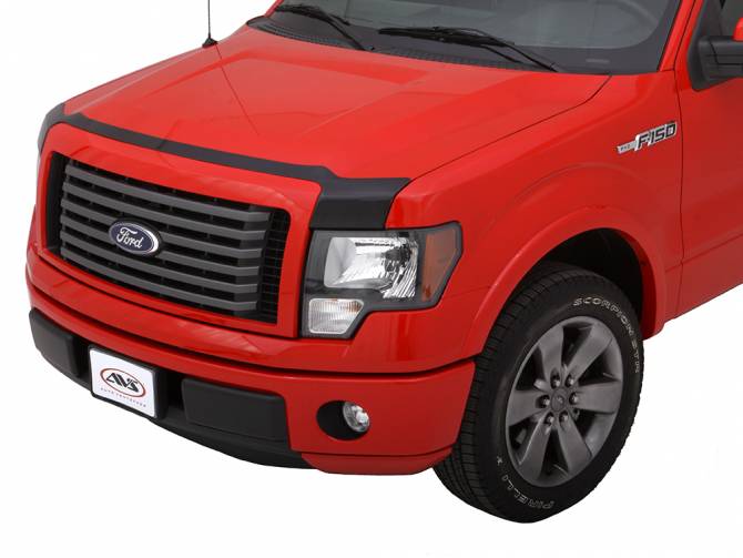 AVS AeroSkin Bug Shield