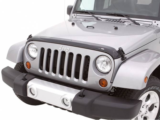 AVS AeroSkin Bug Shield