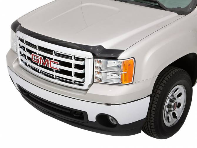 AVS AeroSkin Bug Shield